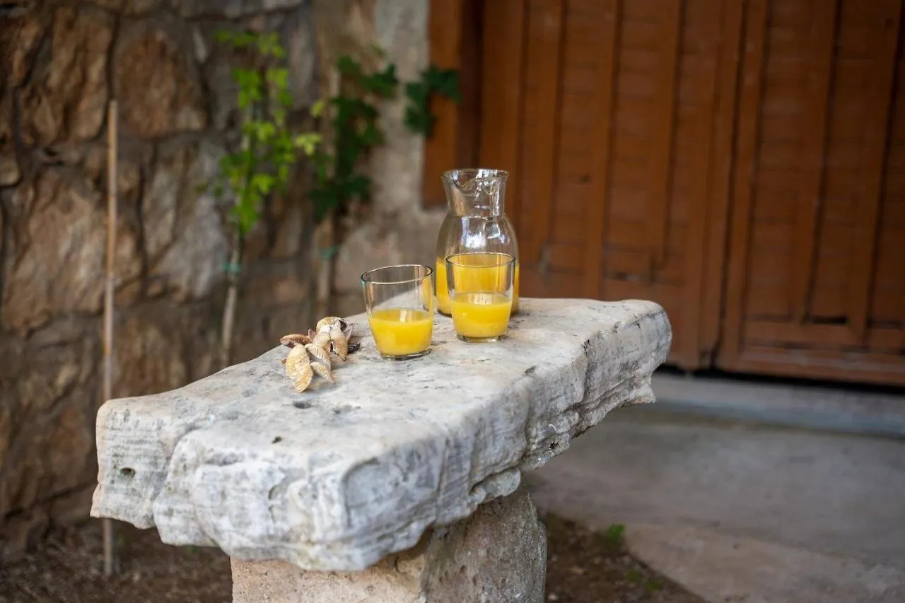 Paris Apartment Porec